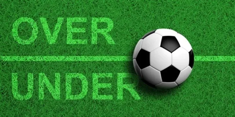 Hình thức cá cược thường gặp trong soi kèo tài xỉu